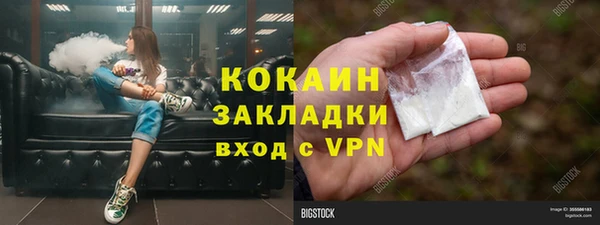 крисы Балахна