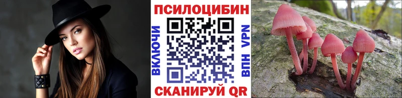 Галлюциногенные грибы Cubensis закладка kraken ТОР Бирюсинск